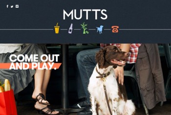 Web Design, JQuery